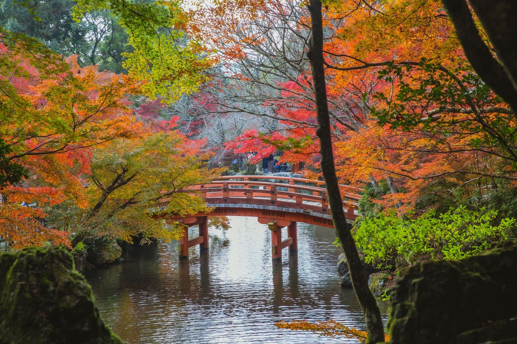 紅葉に包まれた京都の庭園と池に架かる橋